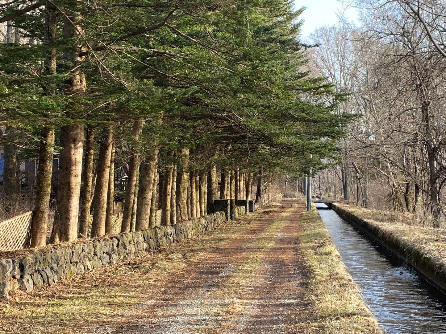 太郎山土地販売