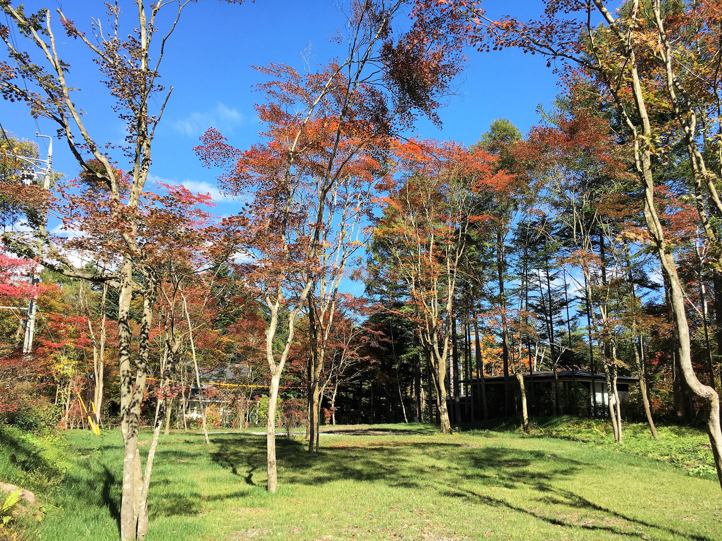 軽井沢南ヶ丘土地