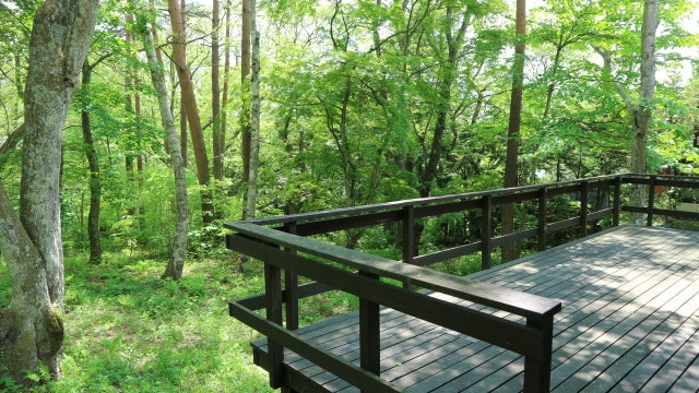軽井沢の別荘地エリア徹底比較｜旧軽井沢・南ヶ丘・中軽井沢・南軽井沢・追分の特徴と選び方